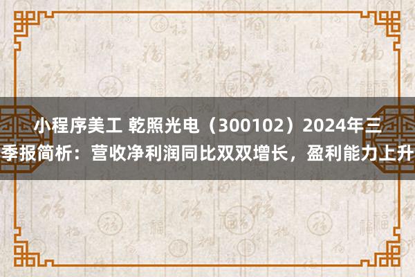 小程序美工 乾照光电（300102）2024年三季报简析：营收净利润同比双双增长，盈利能力上升