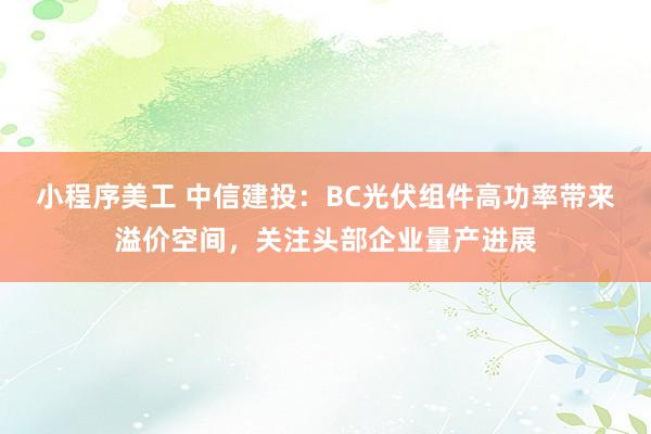 小程序美工 中信建投：BC光伏组件高功率带来溢价空间，关注头部企业量产进展